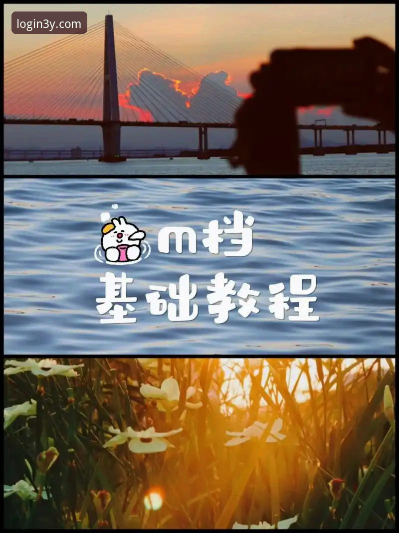 揭秘三亿体育注册背后的真相：新手也能轻松上手的完整教程
